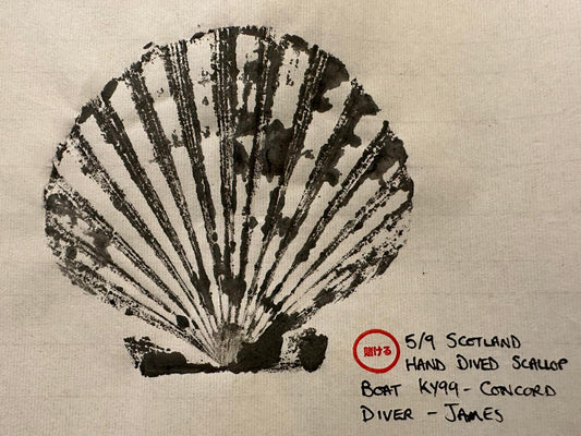 Hand-Dived Scallop Print