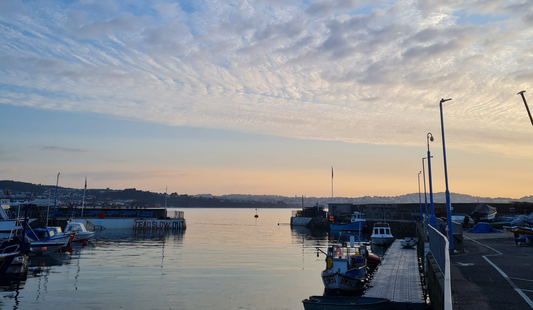 How to make sustainable fish choices?