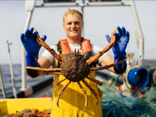 What is this all about Spider Crab?