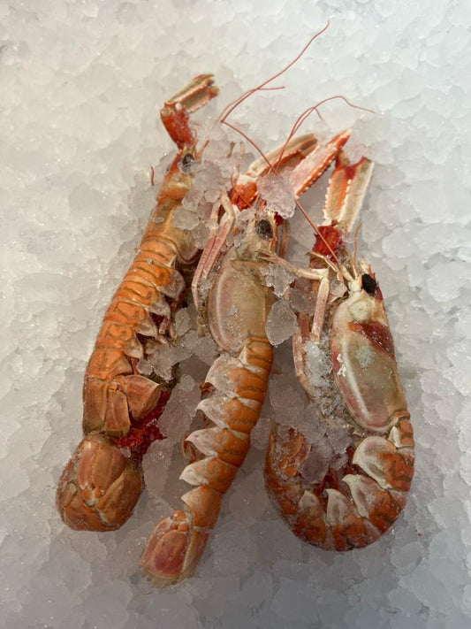Whole Cooked Langoustines (Frozen)